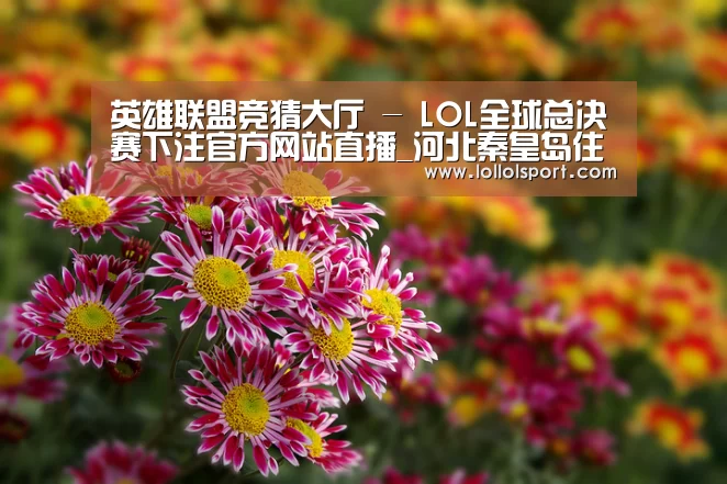 英雄联盟竞猜大厅 - LOL全球总决赛下注官方网站直播_河北秦皇岛住房公积金使用政策调整(图3) 英雄联盟竞猜大厅 - LOL全球总决赛下注官方网站