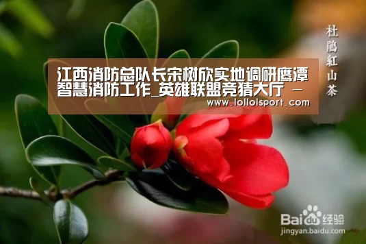 江西消防总队长宋树欣实地调研鹰潭智慧消防工作_英雄联盟竞猜大厅 - LOL全球总决赛下注官方网站(图1) 英雄联盟竞猜大厅 - LOL全球总决赛下注官方网站直播